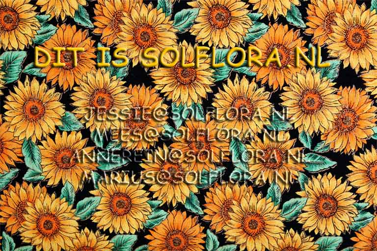 Website Marius van der Hoff